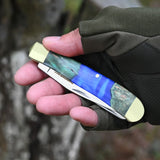 Stainless Steel Pocket Knife Double Blade For Outdoor Camping EDC Tool
