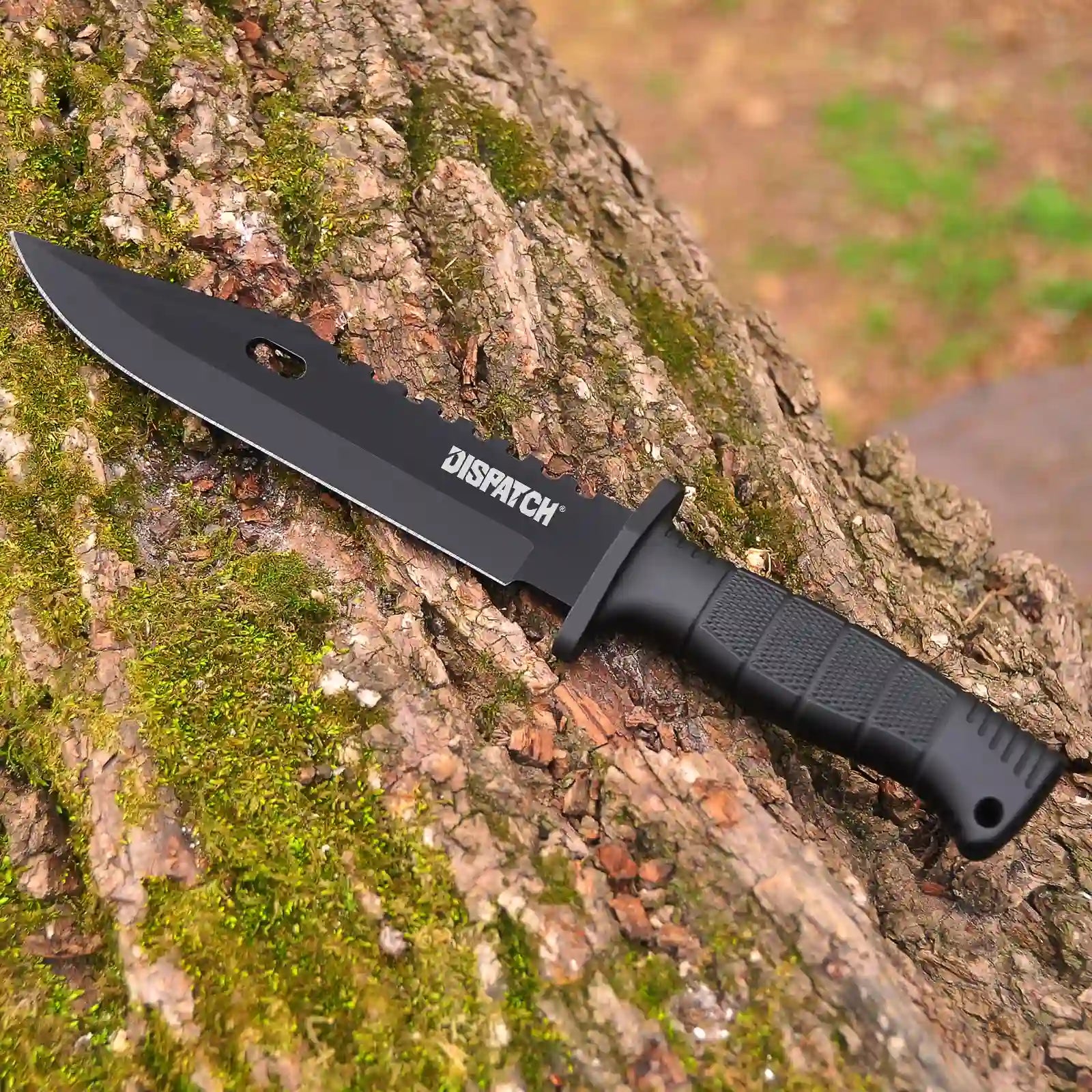 12"Outdoor Bowie Survival Hunting Fixed Blade Knife with Nylon Sheath