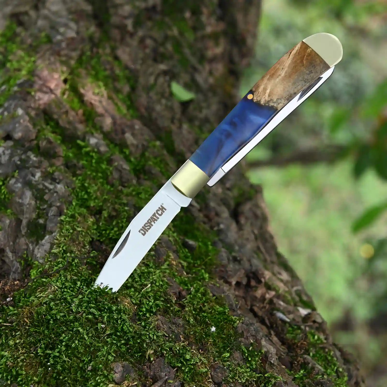 Stainless Steel Pocket Knife Double Blade For Outdoor Camping EDC Tool