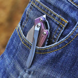 5" D2 Blade And Titanium Handle Folding Knife With Nylon Sheath