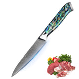 5'' Utility Knife 67 Layers Damascus Steel Japanese Style Kitchen Knife Exquisite Resin Abalone Shell Handle