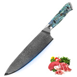 8'' Chef Knife 67 Layers Damascus Steel Blade Gyuto Knife Japanese Style VG10 Kitchen knife Resin Abalone Shell Handle