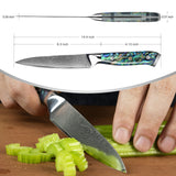 5'' Utility Knife 67 Layers Damascus Steel Japanese Style Kitchen Knife Exquisite Resin Abalone Shell Handle