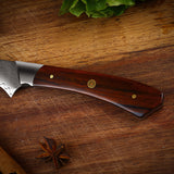 6'' Kitchen Boning Knife 67 Layers Damascus Steel Kitchen Knives Plum Rivets Pakka Wood Handle