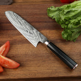 7.5inch AUS10 Damascus Steel Santoku Knife Sharply 73Layers Kitchen Santoku Knife Preminum Black G10 Knife