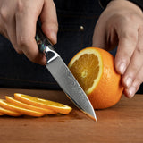 5'' Utility Knife 67 Layers Damascus Steel Japanese Style Kitchen Knife Exquisite Resin Abalone Shell Handle
